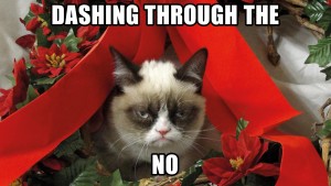 Funny-Christmas-Cat-201