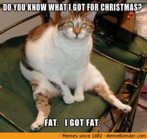 Funny-Christmas-Cat-Meme-071