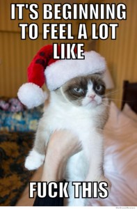 kerst humor grumpy cat