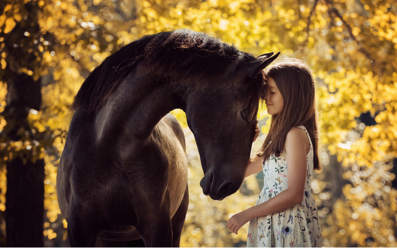 poitieve effecten van paarden op kinderen