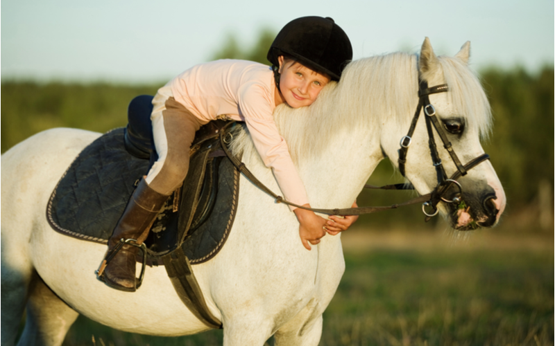 positieve effecten van paarden op kinderen