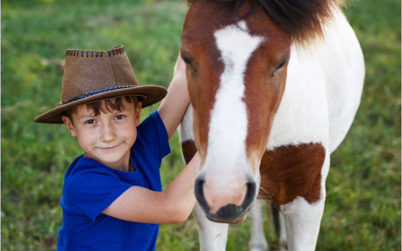 positieve effecten van paarden op kinderen