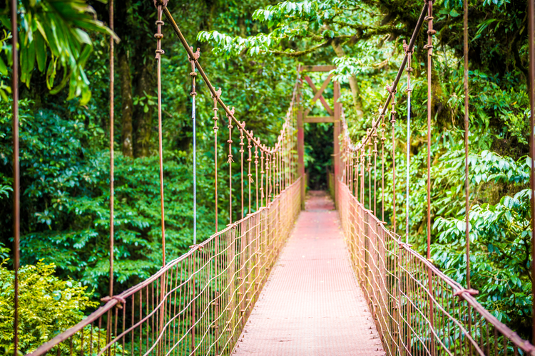 hangbrug costa rica jungle vakantie