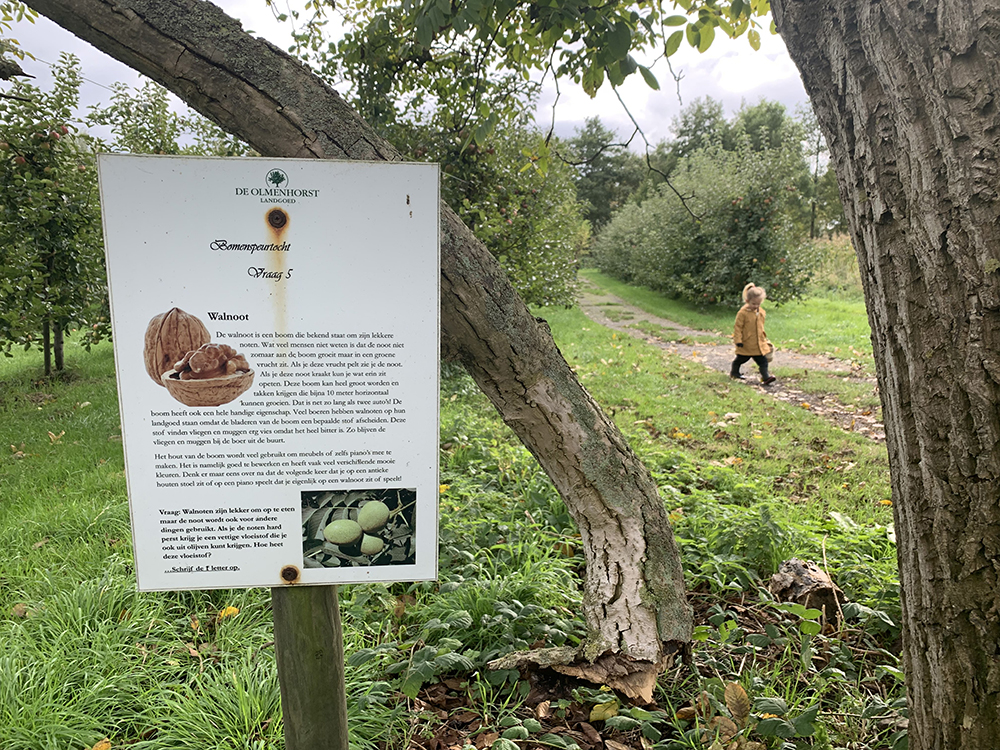 bomenspeurtocht olmenhorst